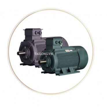 Động cơ điện không đồng bộ ba pha YE2-180L