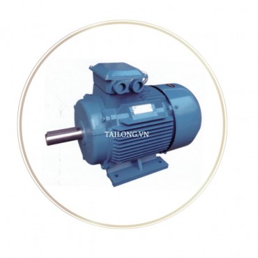 Động cơ điện không đồng bộ ba pha YE3-315S