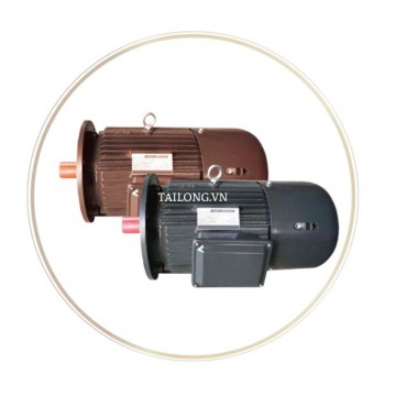 Động cơ phanh điện từ YEJ-225S