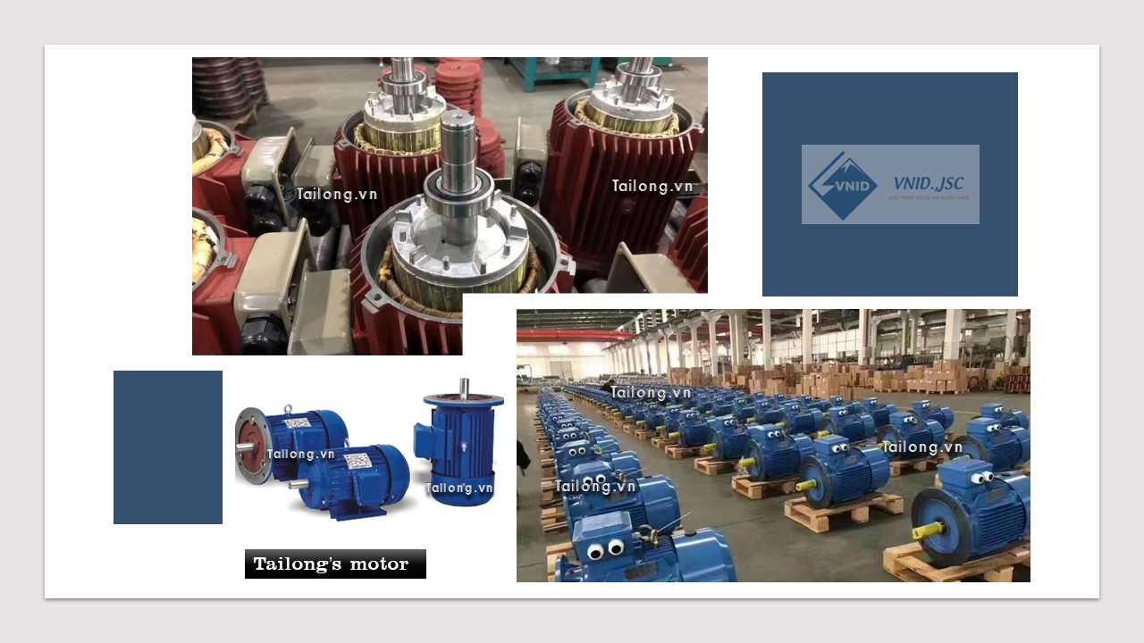 Động cơ điện Tailong